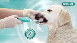 Emmi-pet Ultrasound Bristle-Head Attachments to Clean Pets' Teeth and Gums (Small Head Size, Set of 2)