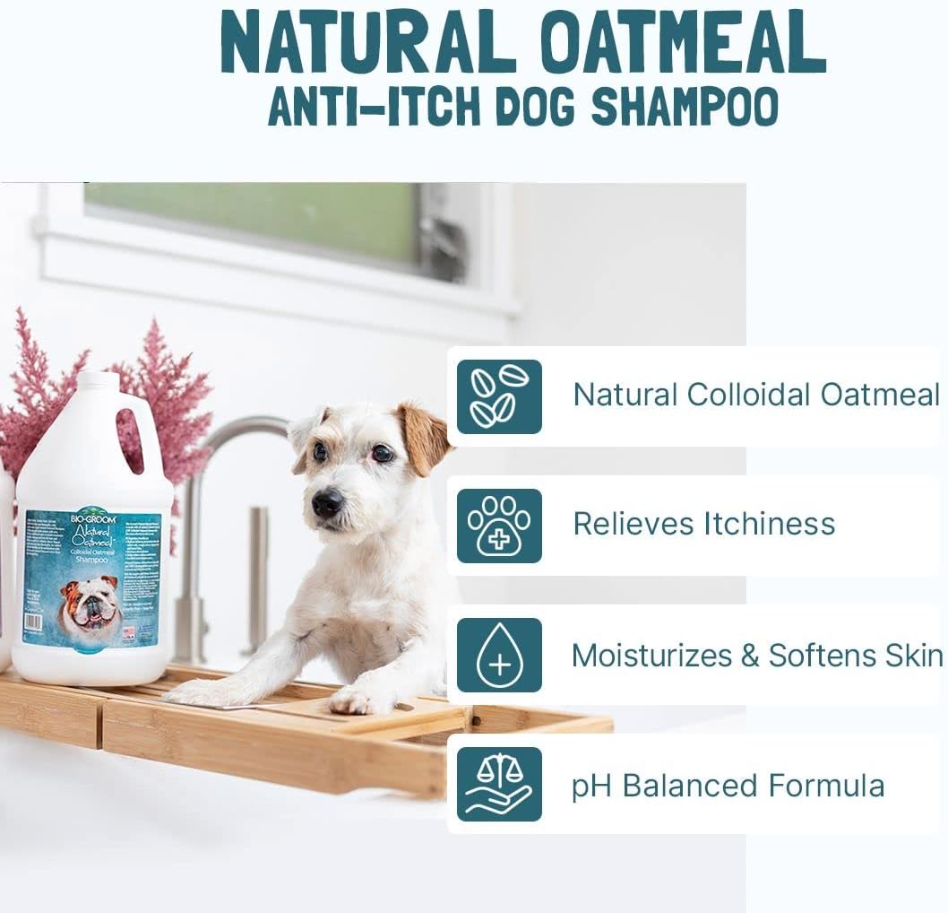 Bio-Groom Oatmeal Dog Shampoo - for Allergies and Itching, Cruelty-Free, Dog Bathing Supplies, Puppy Shampoo for Sensitive Skin, Product Made in USA, Anti-Itch - 1 Gallon