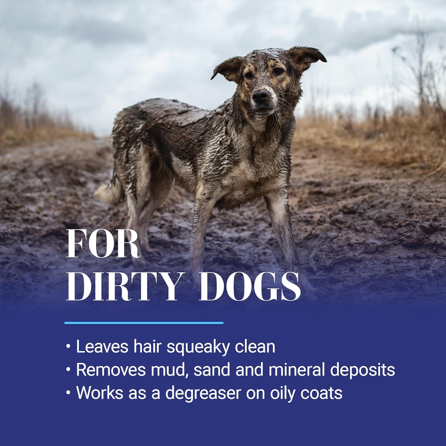 Chris Christensen Clean Start Dog Shampoo, Groom Like a Professional, 