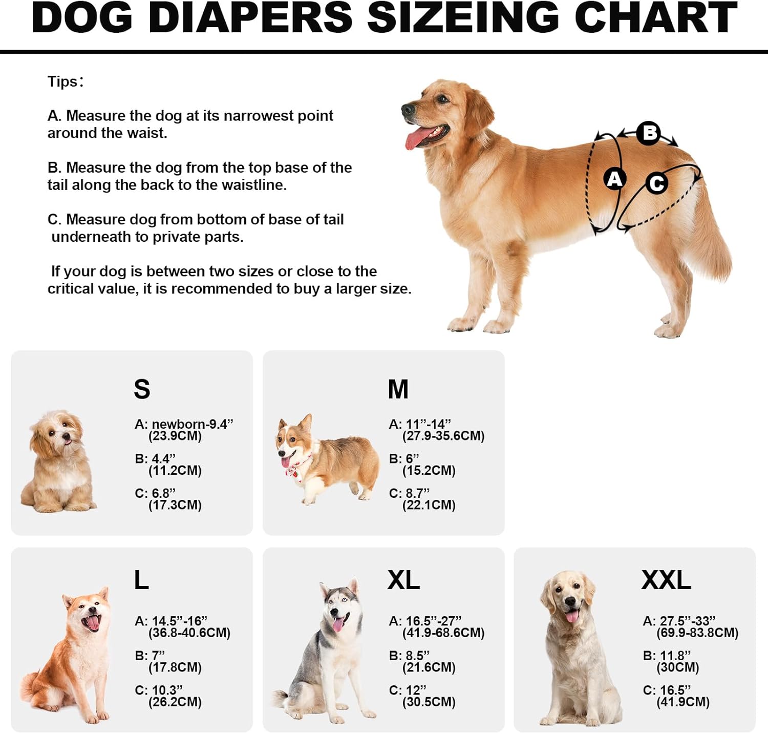Small Reusable Dog Diapers Female Washable, Premium Doggie Diaper for Dogs, Pack of 3, Highly Absorbent Small Dog Diaper for Heat, Incontinence and Puppy Training 
