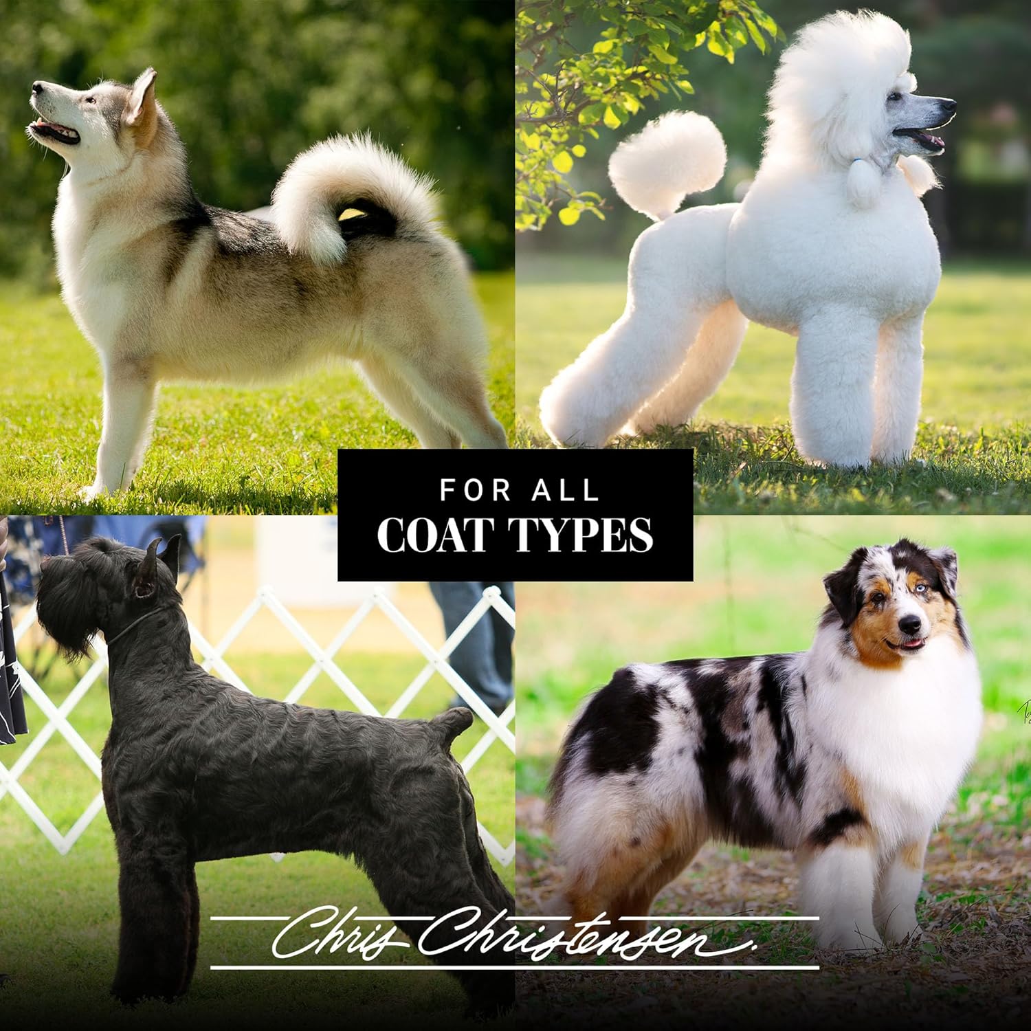 Chris Christensen Spectrum Ten Dog Shampoo, Groom Like a Professional