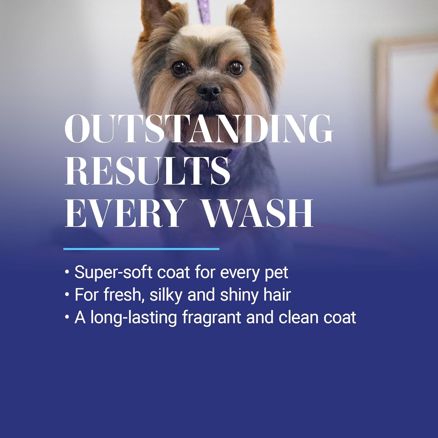Chris Christensen Smartwash50 Hydrating Blend Ultra Concentrated Dog Shampoo, 