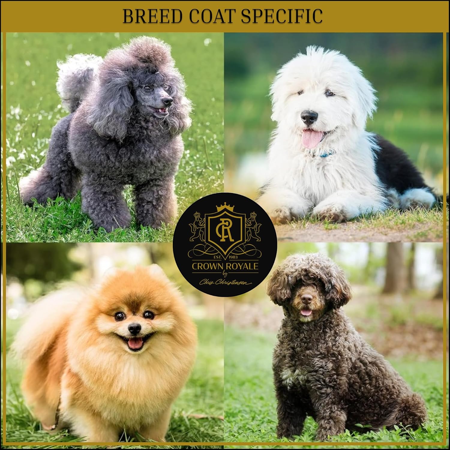 Crown Royale Biovite Formula 2 Shampoo Concentrate, Adds Medium Bodied Texture, Adds Volume, Safe For Use on Cats and Dogs, Made in USA, 1 gal