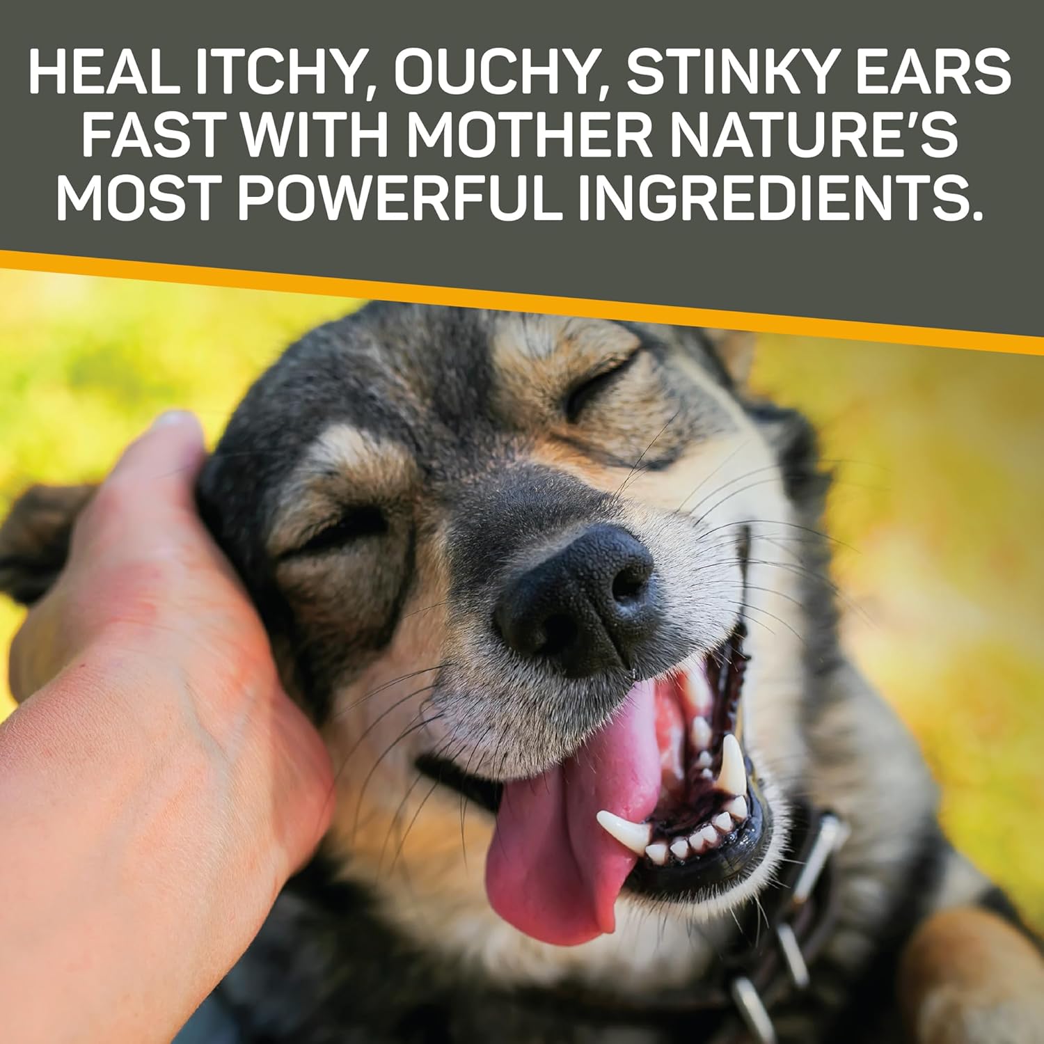 Absorbine Silver Honey Rapid Ear Care Vet Strength Ear Cleaner + Infection Treatment, 10-Day Regimen for 1 Ear
