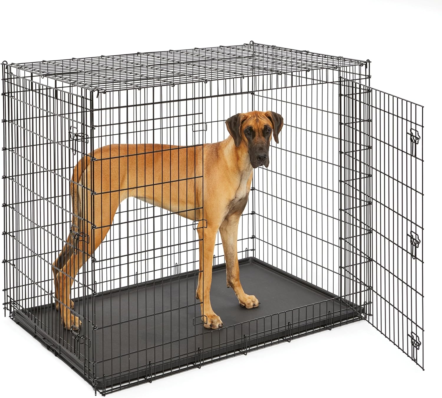 MidWest Homes for Pets Solutions Series XXL Double Door 54-Inch Dog Crate for The Largest Breeds