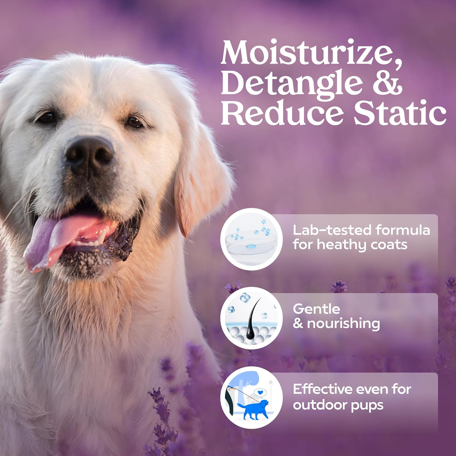 PAWFUME Dog Detangler Grooming Spray, Royal Lavender, 1-Pack – Keeps Pups Fresh All Day – Hypoallergenic, Alcohol-Free, Detangling & Moisturizing 