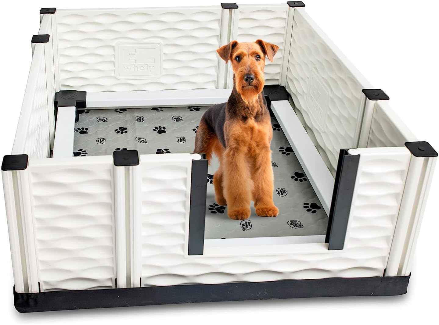 EZwhelp EZclassic Medium Dog Whelping Box with Rails, 38" x 38" x 18", Gray Pad