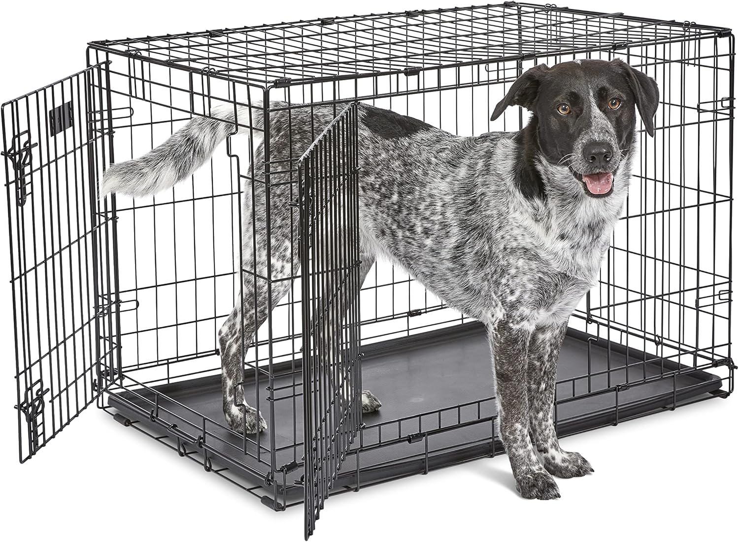 MidWest Homes for Pets 36-Inch iCrate for Medium-Large Breeds, 41-70 lbs, Double Door Folding Dog Crate with Divider Panel