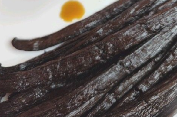 Vanille permaculture Bourbon Madagascar 