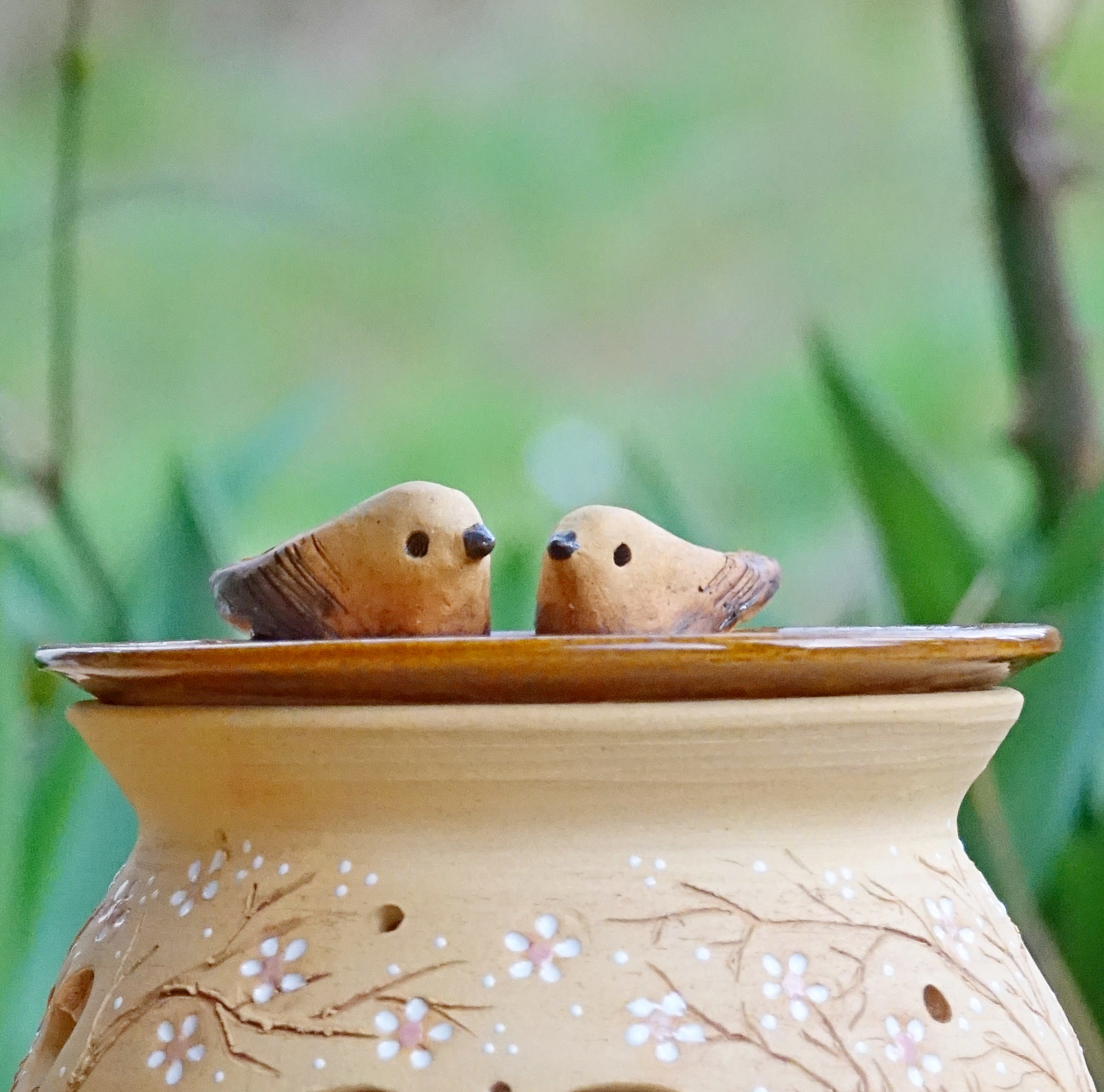 Zamilovaní ptáčci v rozkvetlém keři