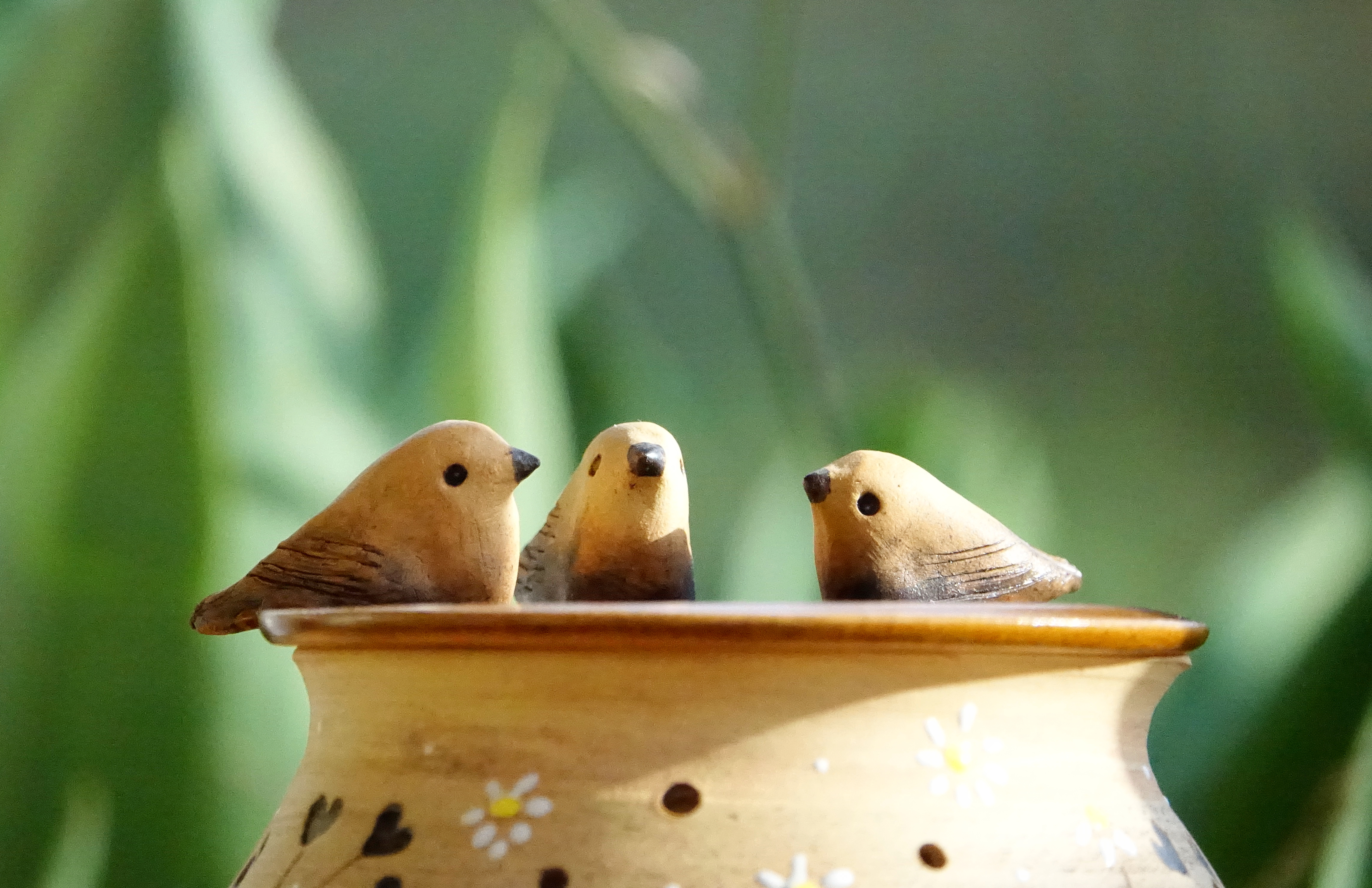 Ptáčci v lučním kvítí