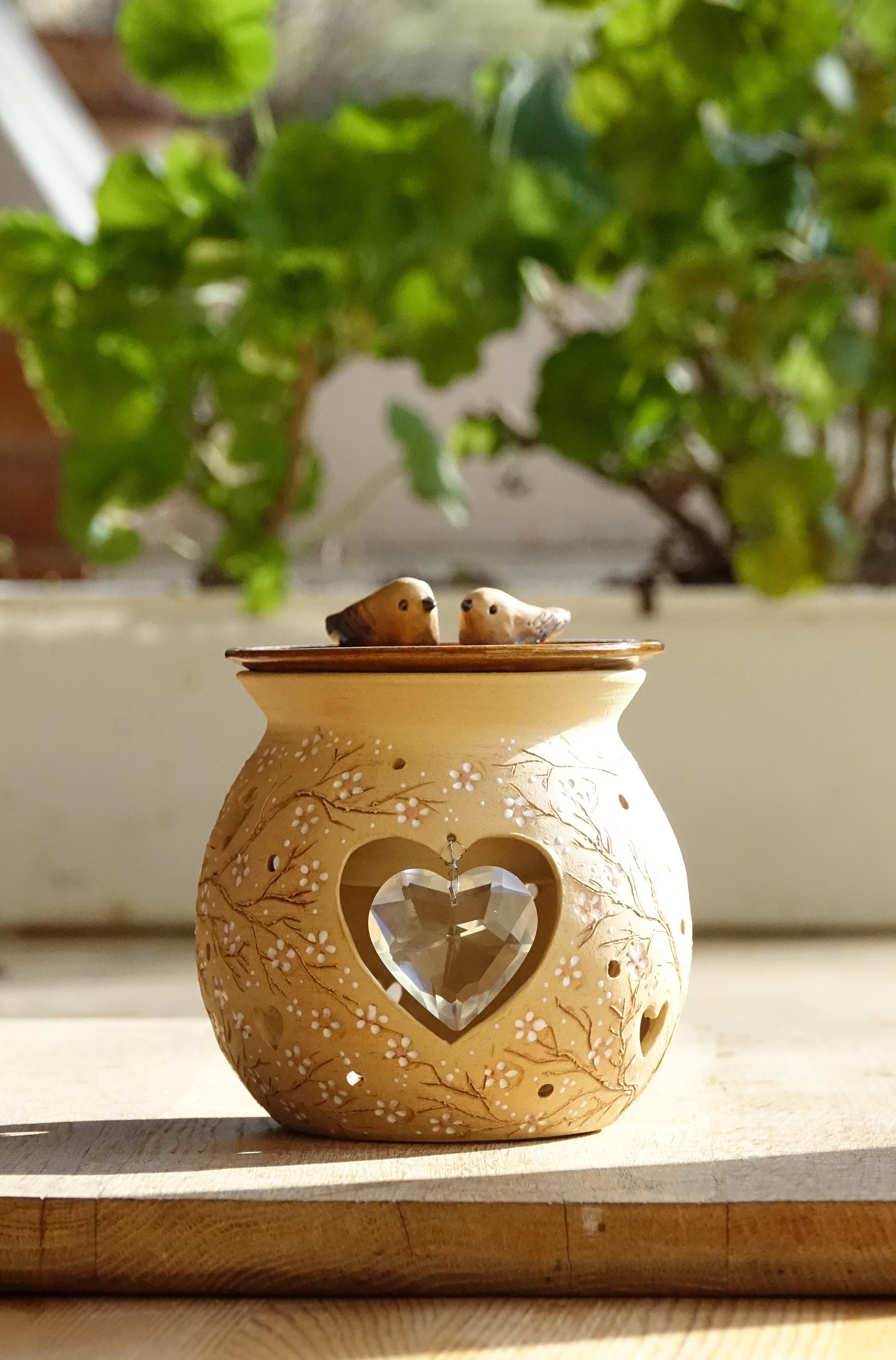 Zamilovaní ptáčci v rozkvetlém keři