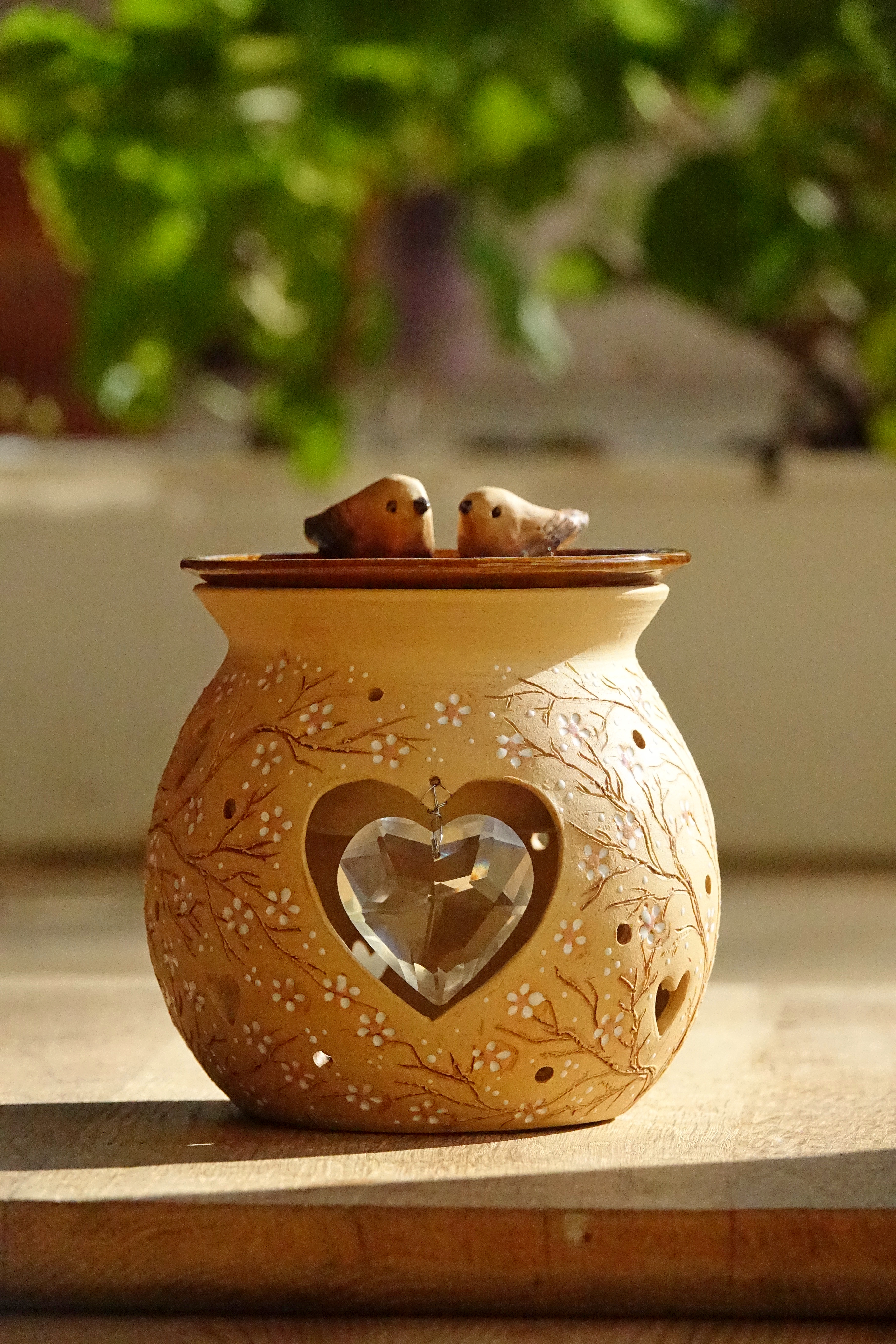 Zamilovaní ptáčci v rozkvetlém keři