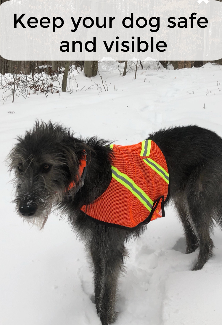 Dog Reflective Mesh Vest
