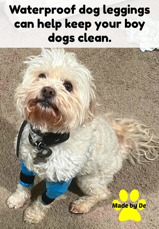 Waterproof Dog Leggings