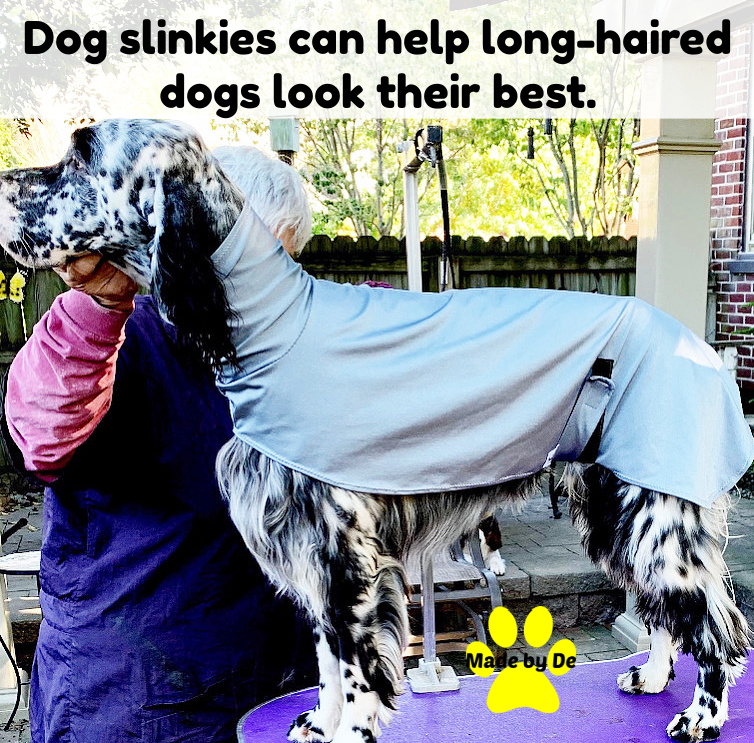 Dog Slinky, Custom Grooming Suit