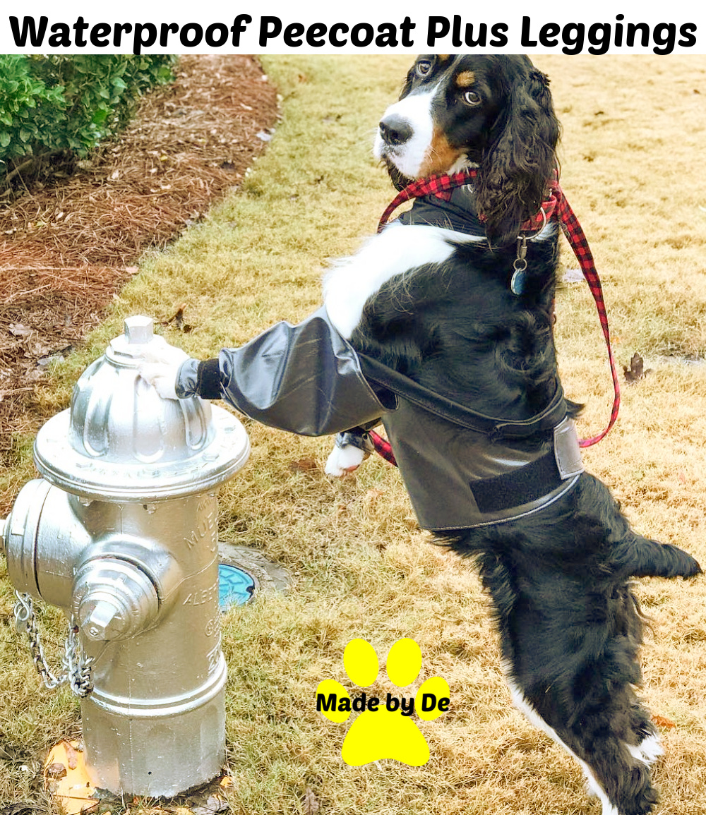 Waterproof Pee Coat Plus Leggings