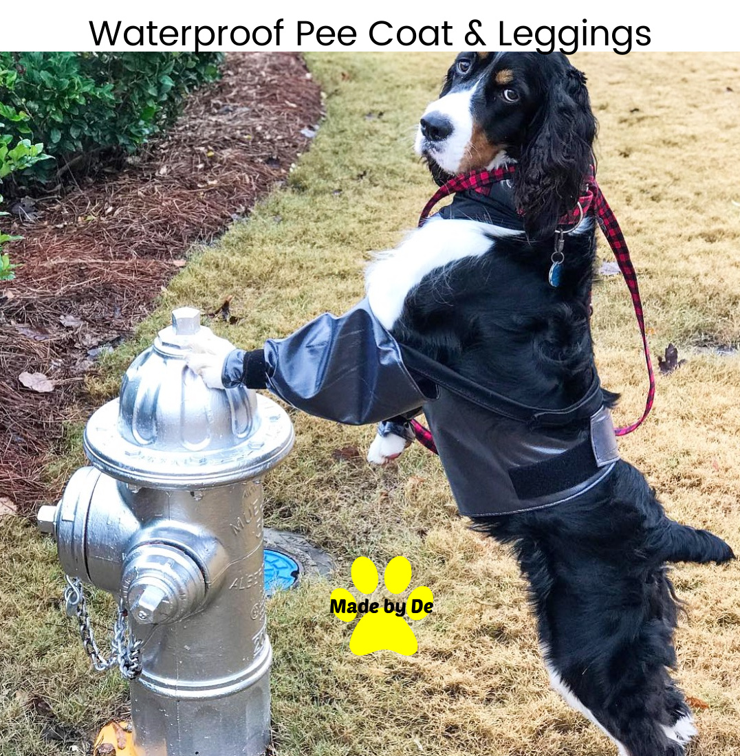 Waterproof Pee Coat Plus Leggings