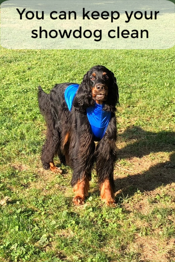 Dog Pee Coat, Custom Speedo