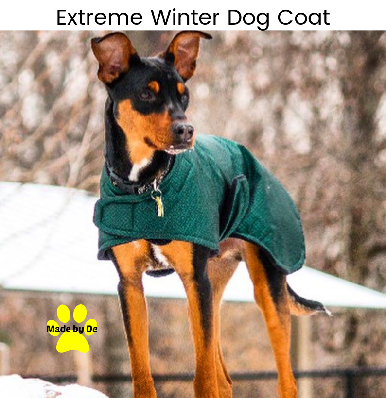 Extreme Winter Dog Coat