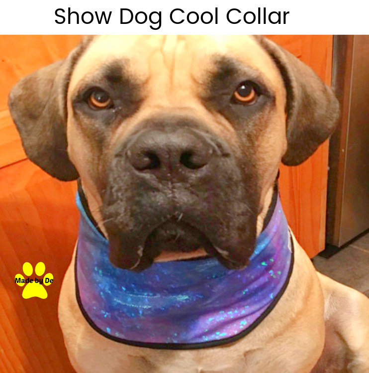 Show Dog Cool Collar