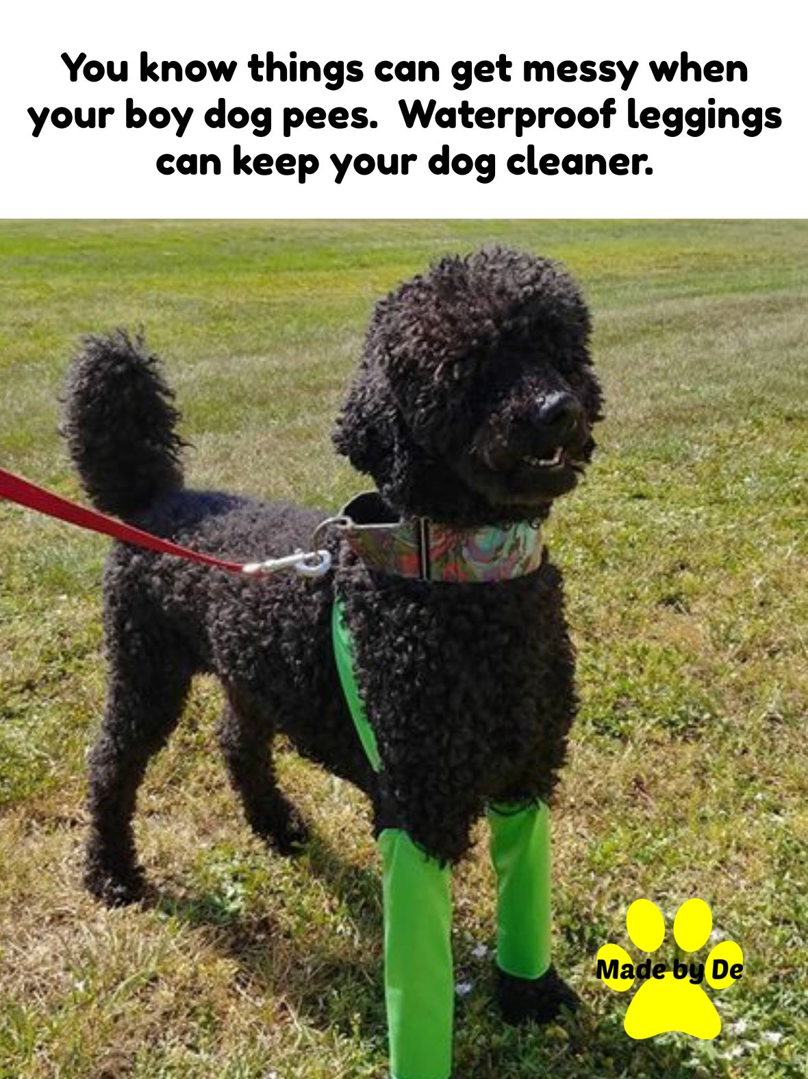 Waterproof Pee Coat Plus Leggings