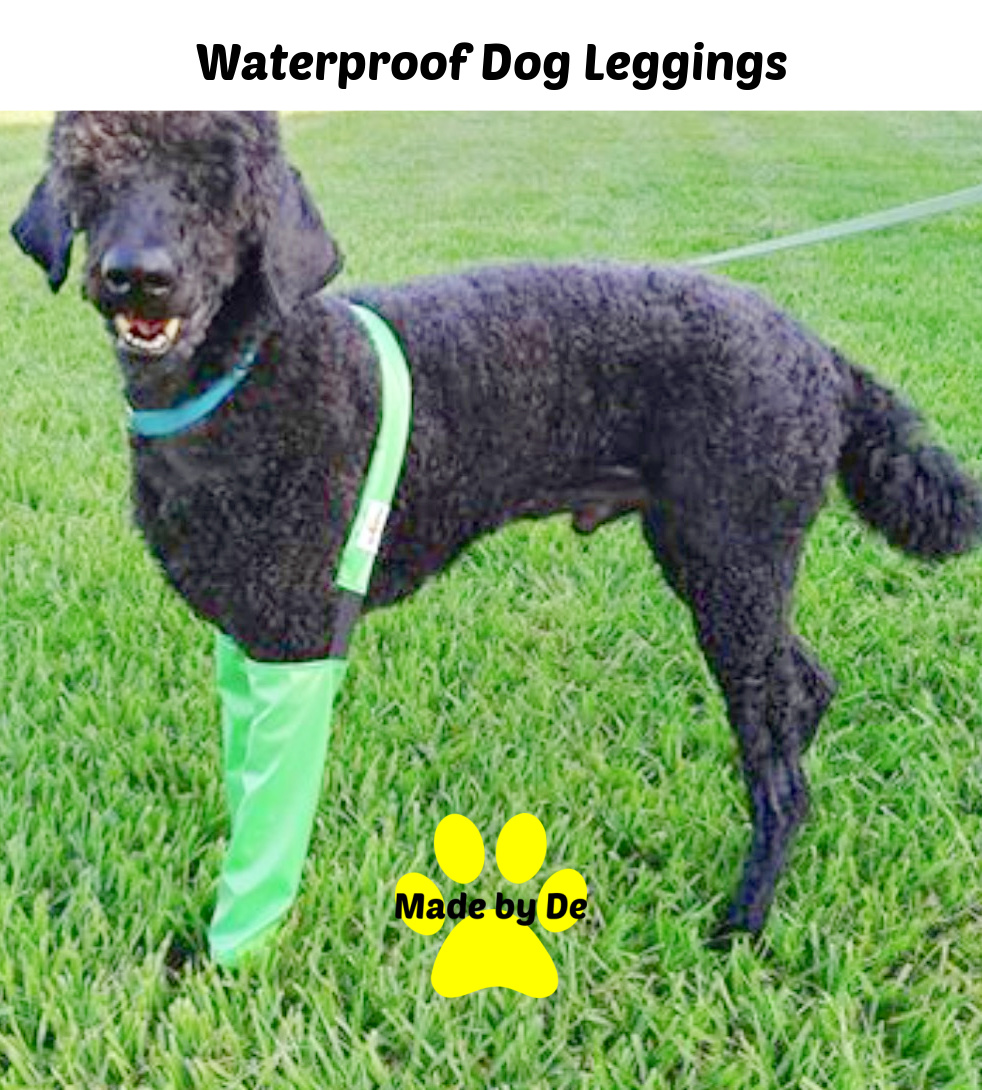 Waterproof Dog Leggings