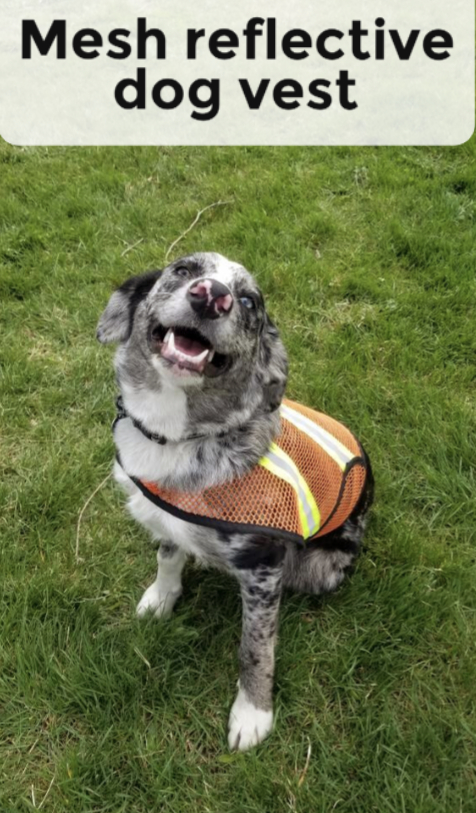 Dog Reflective Mesh Vest