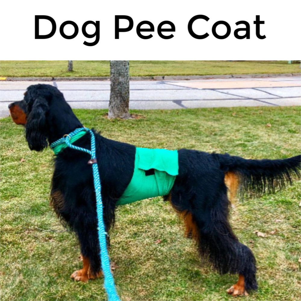 Dog Pee Coat, Custom Speedo