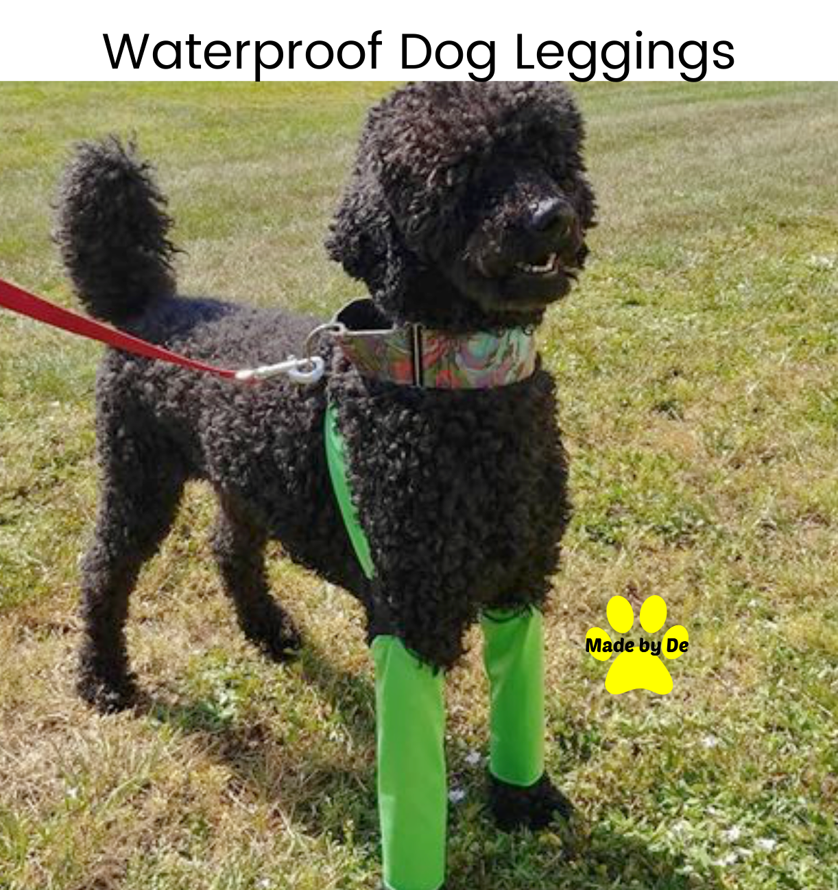 Waterproof Dog Leggings