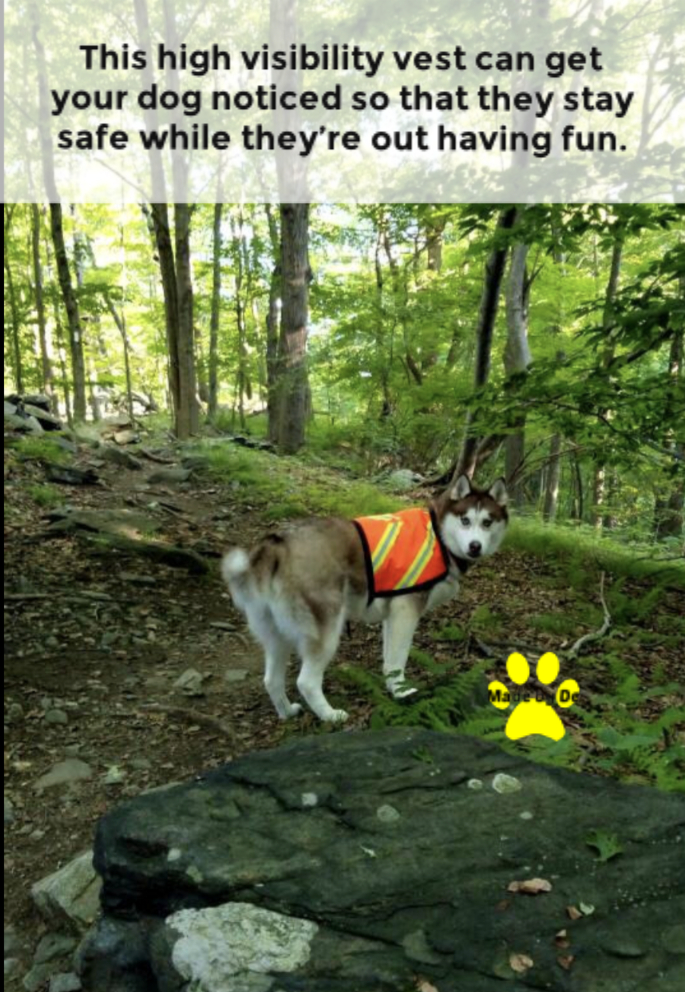 Dog Reflective Vest