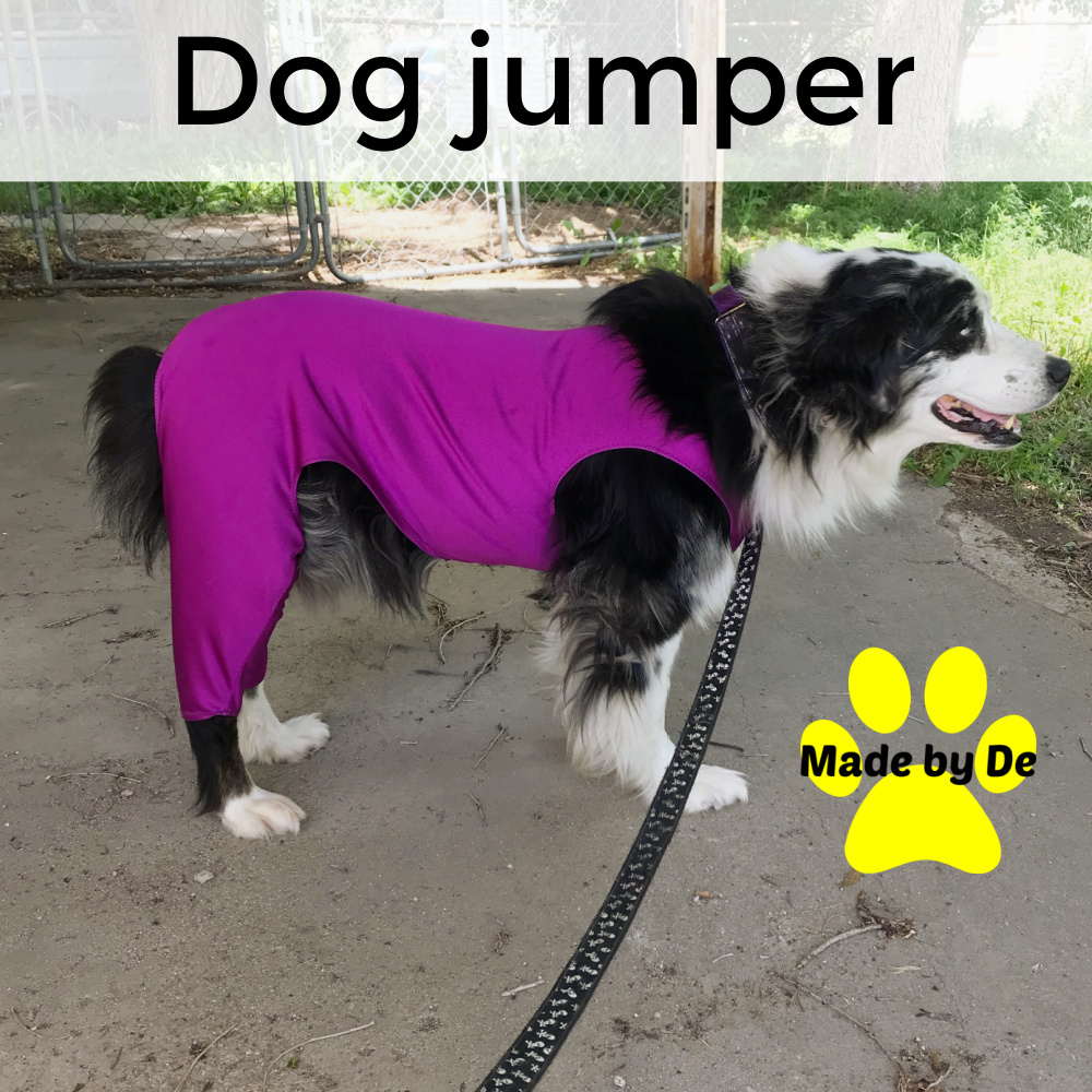 Dog Jumper, Custom