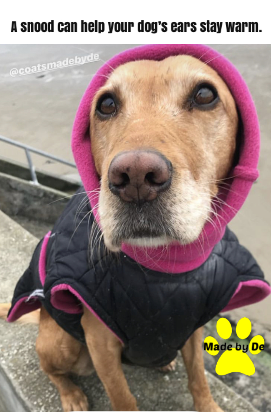 Fleece Dog Snood or Turtleneck