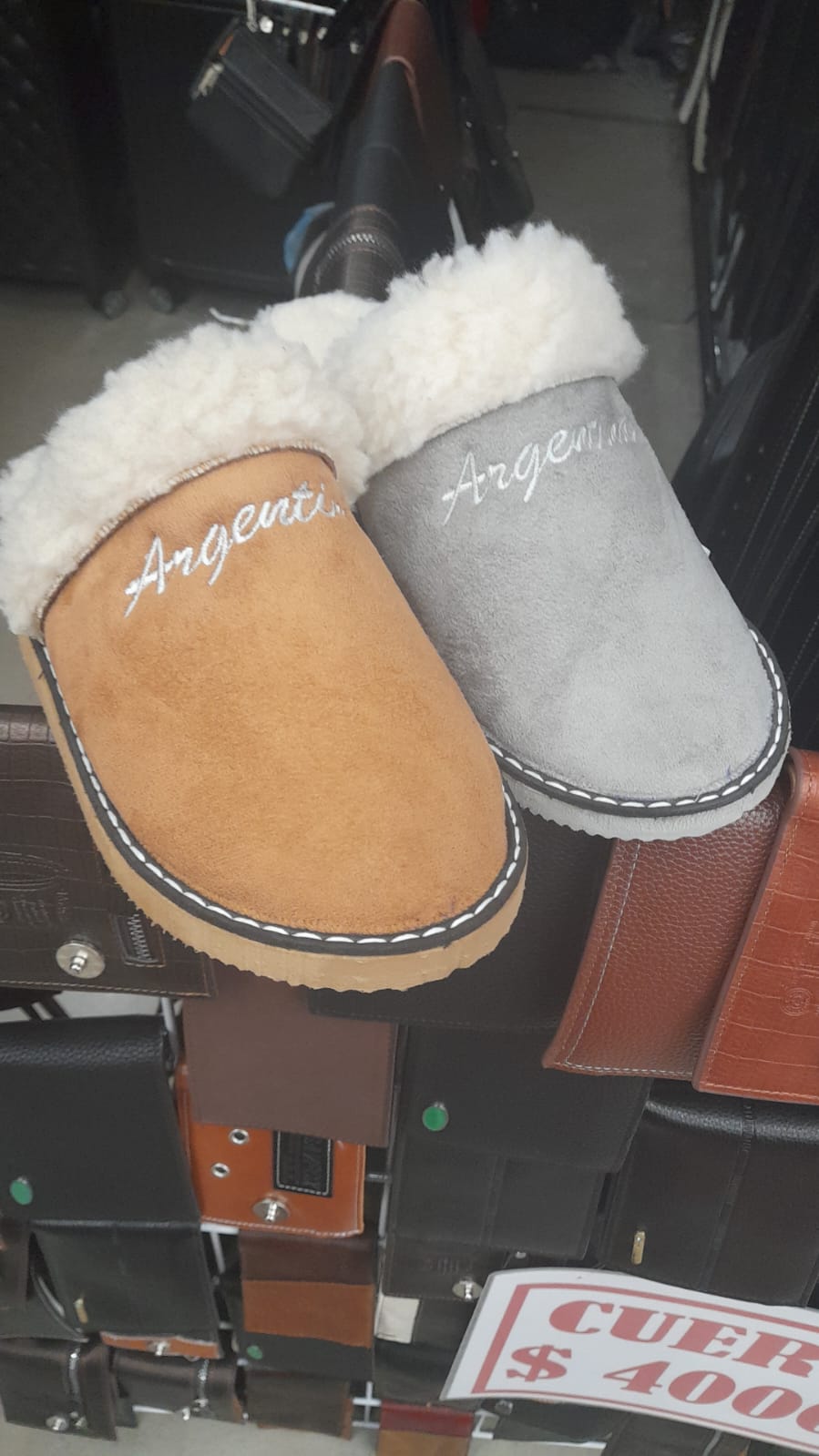 Pantuflas de invierno