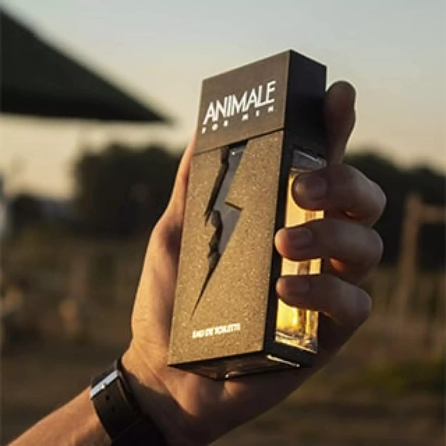 Animale Animale For Men EDT – A Fragrância Magnética e Intensa que Marca Presença