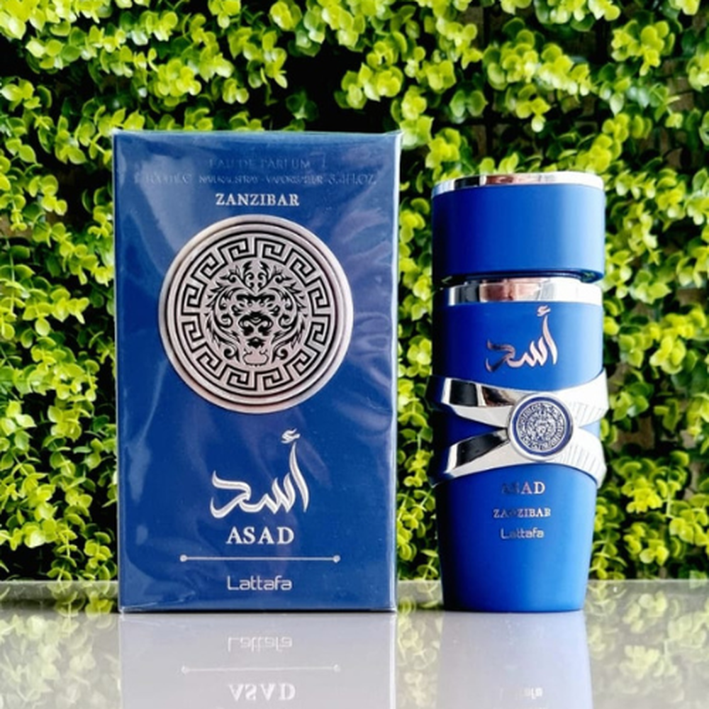 Asad Zanzibar Eau de Parfum Masculino – Fresco, Intenso e Sofisticado