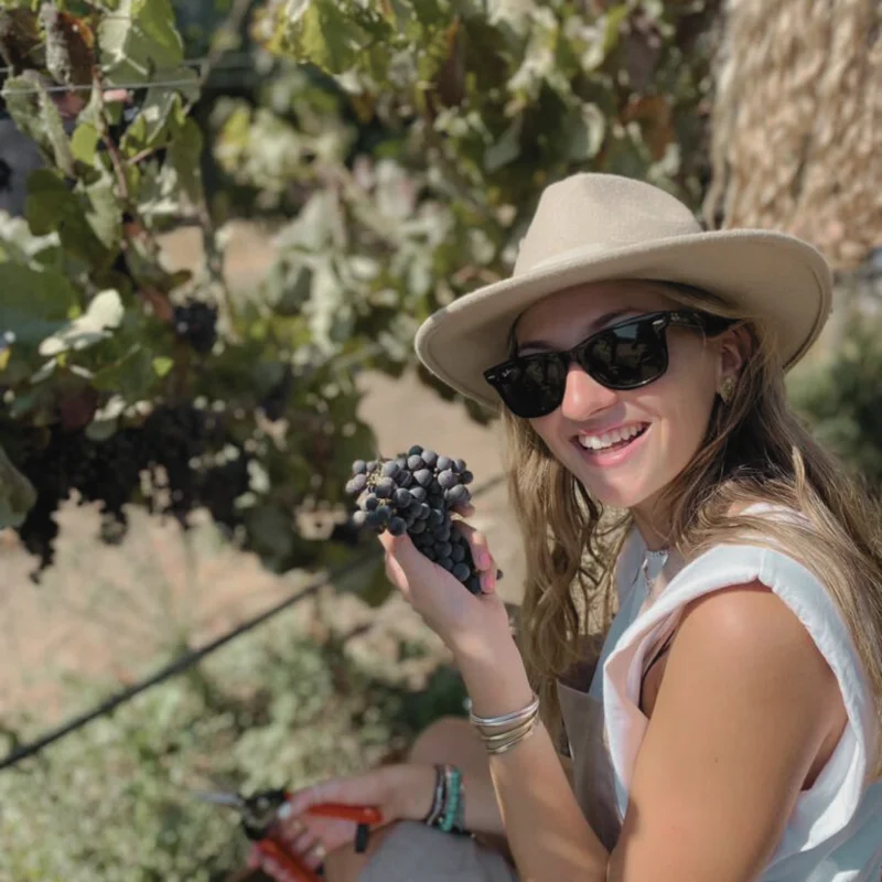 Vendimia Exclusive Experience