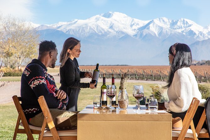 Full-Day Luxury Wine Journey