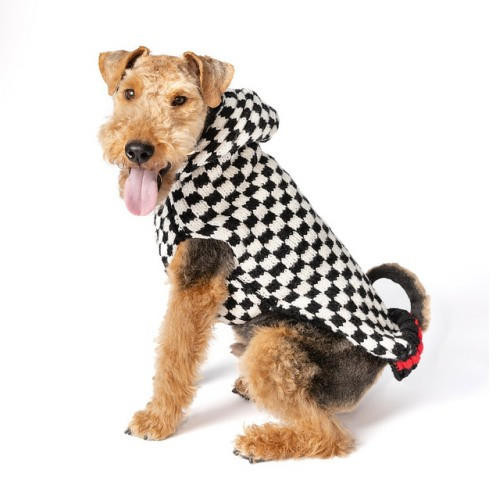 Chilly Dog Wool Sweater Checkerboard Hoodie