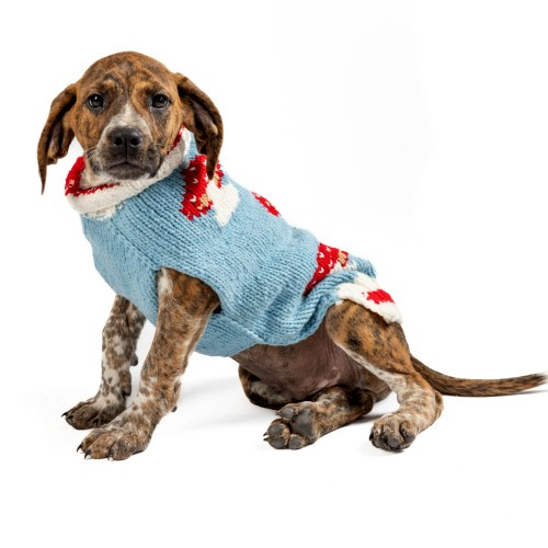 Chilly Dog Wool Sweater Mushrooms