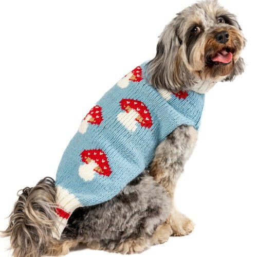 Chilly Dog Wool Sweater Mushrooms