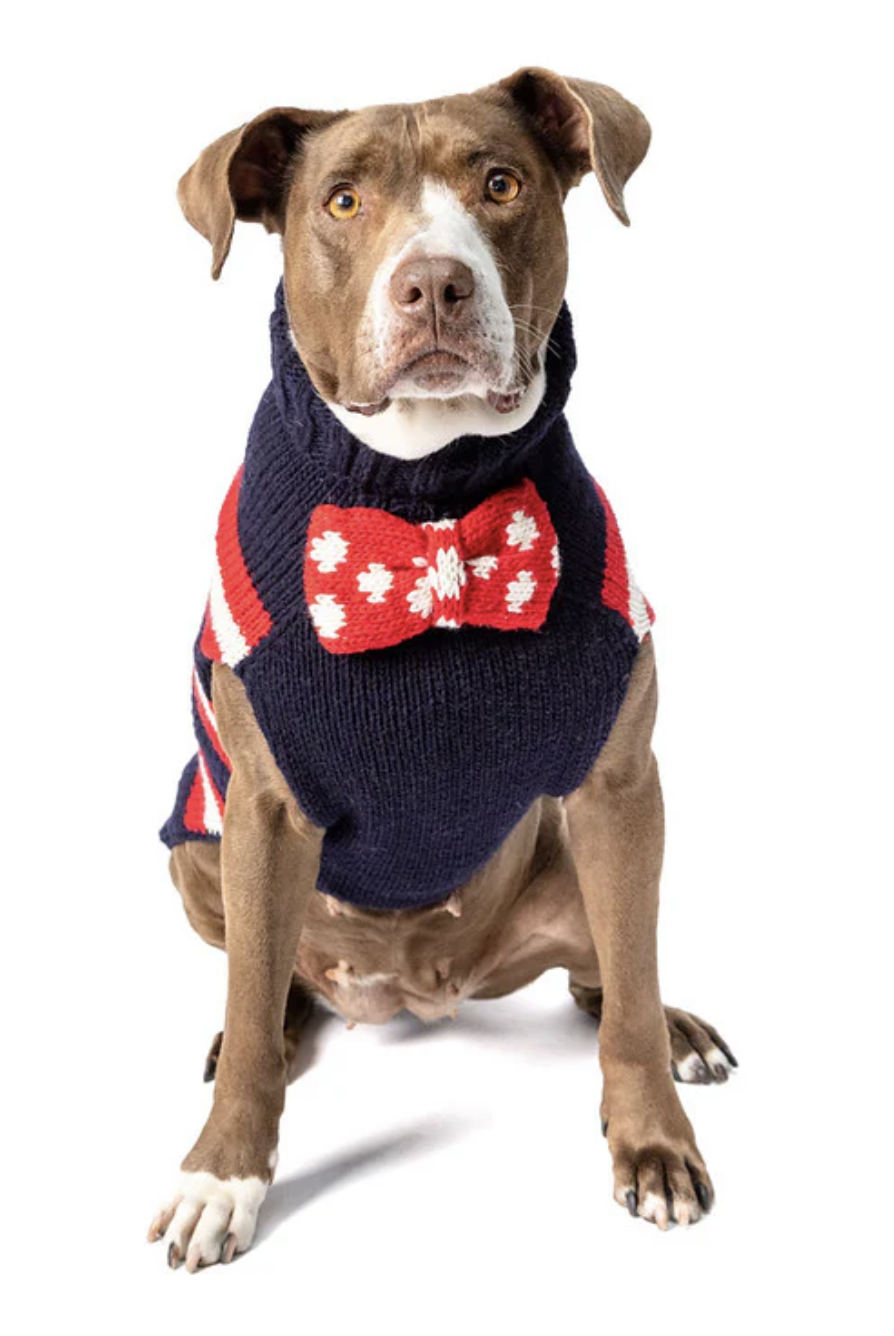 Chilly Dog Wool Sweater Bow Tie Blue