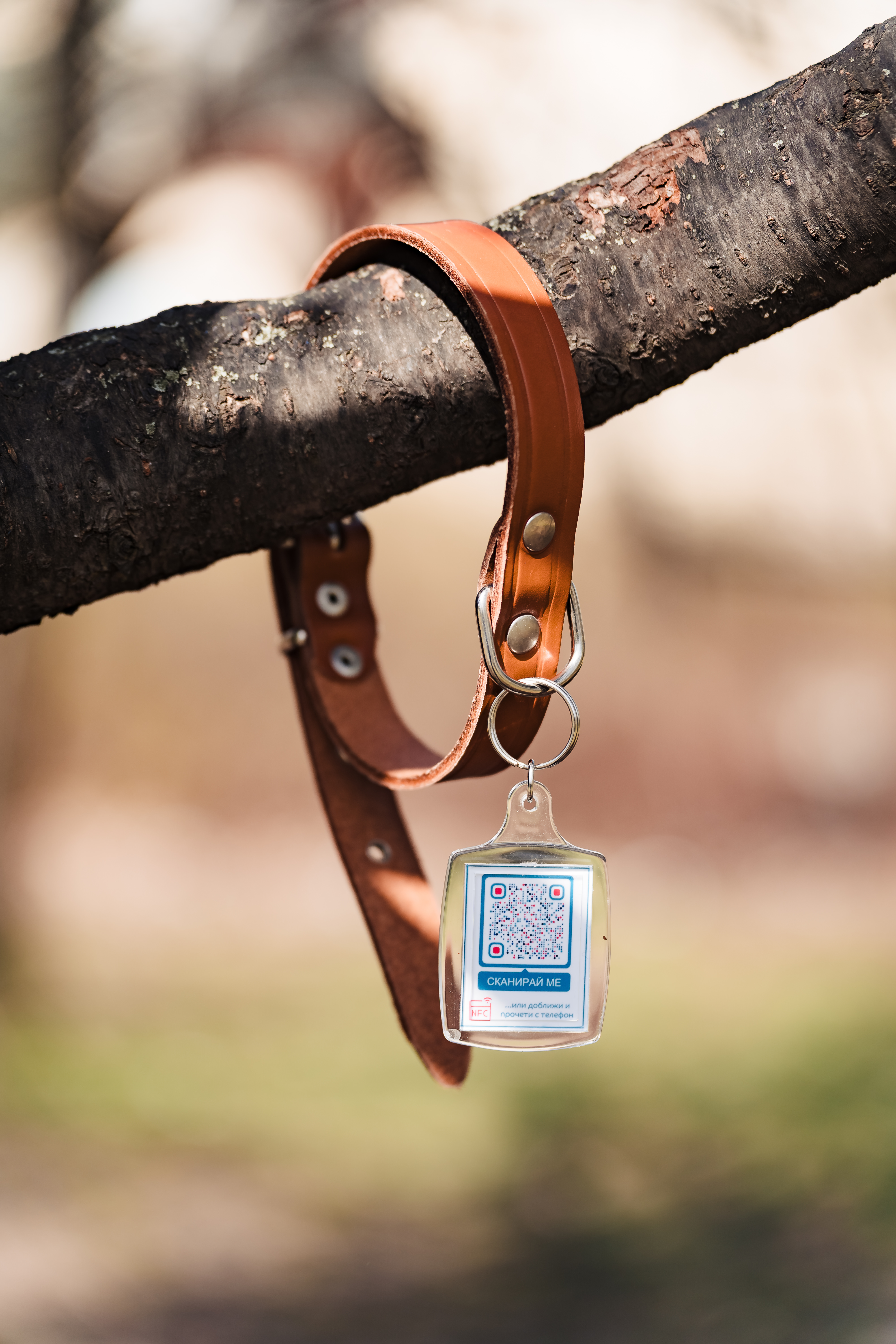 Смарт медальон bgpets