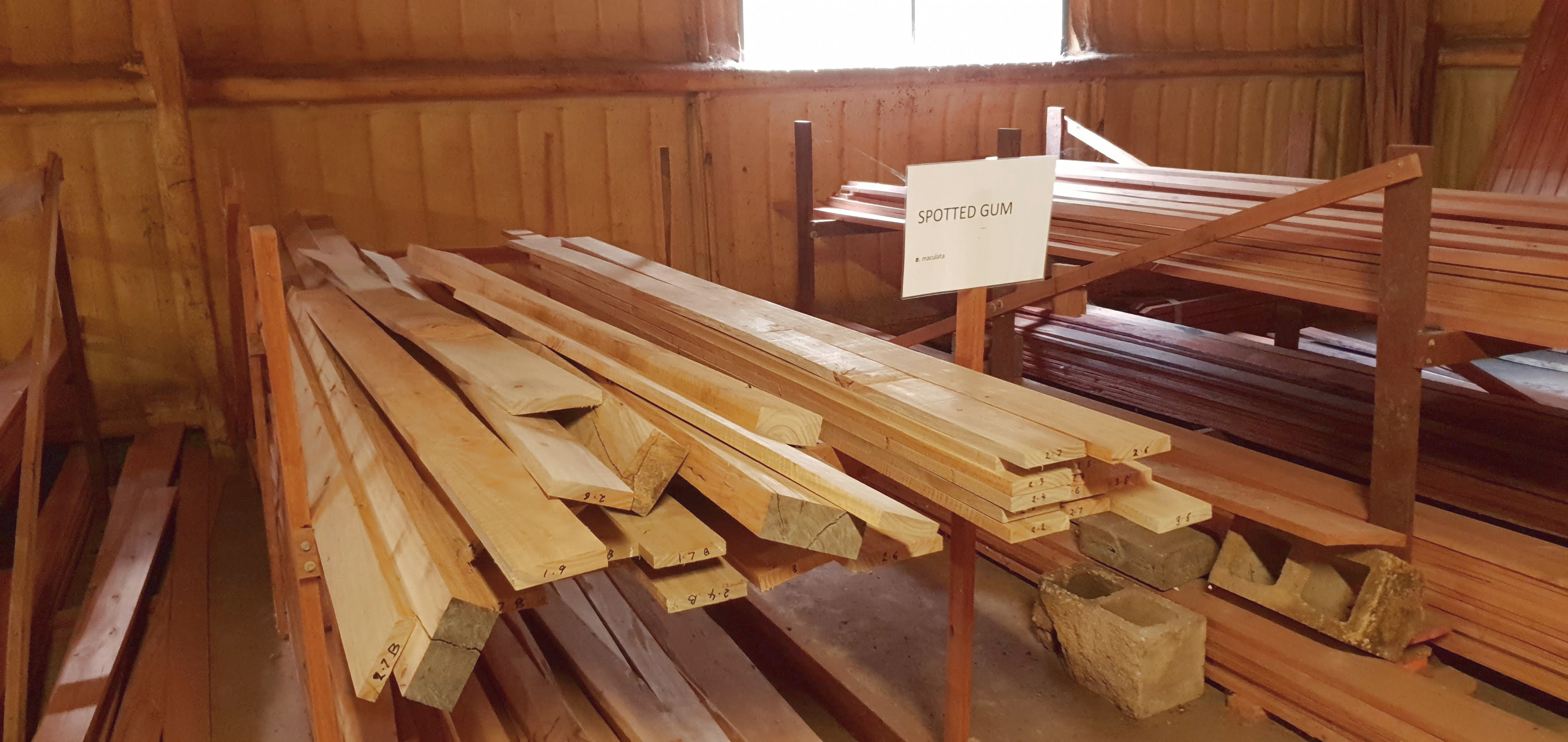 Spotted Gum Timber Planks