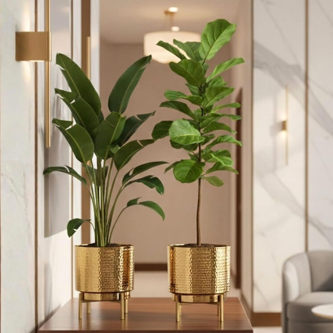 Golden Metal Planter Set