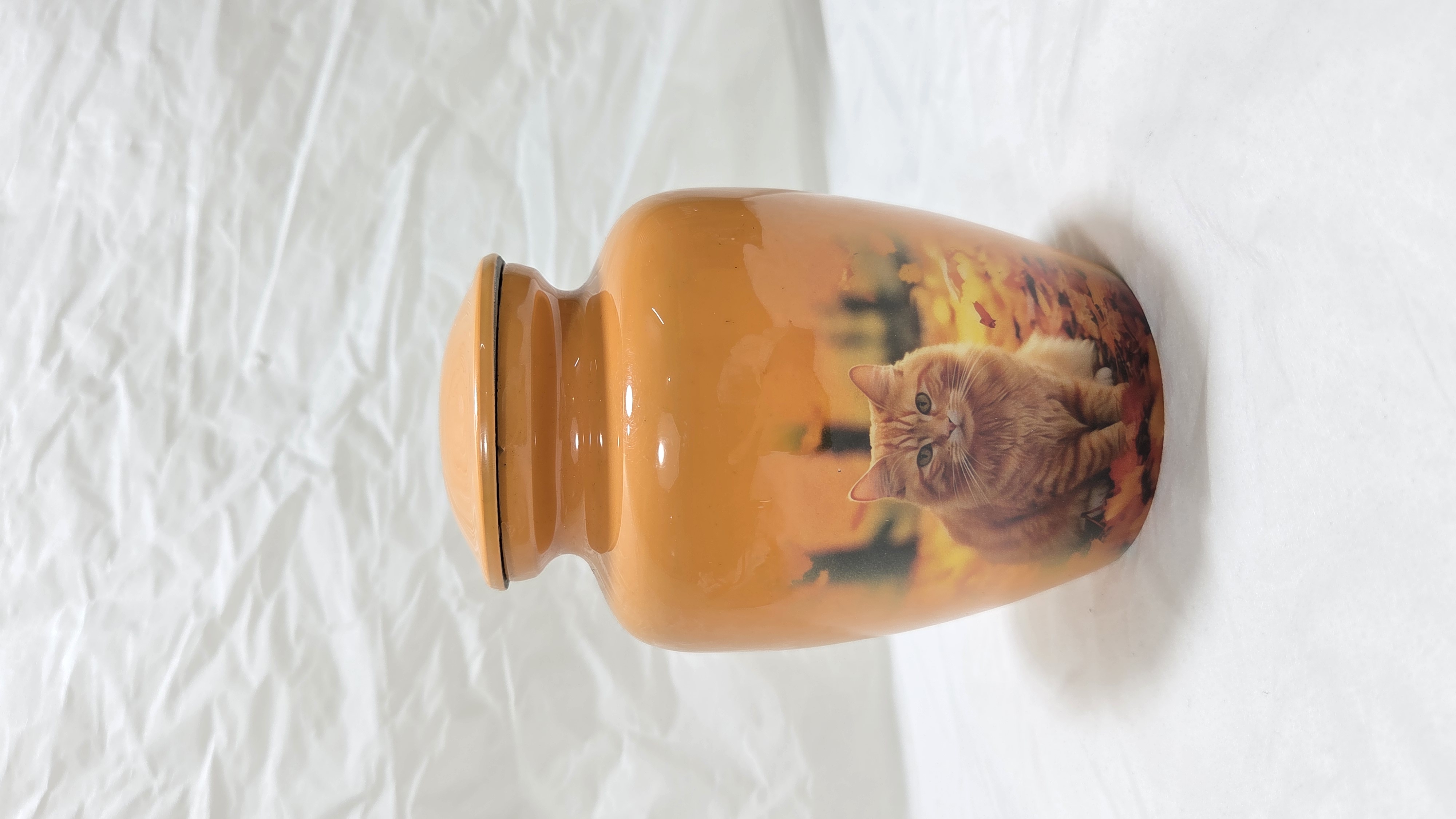 The Ginger Cat Orange Memorial Urn
