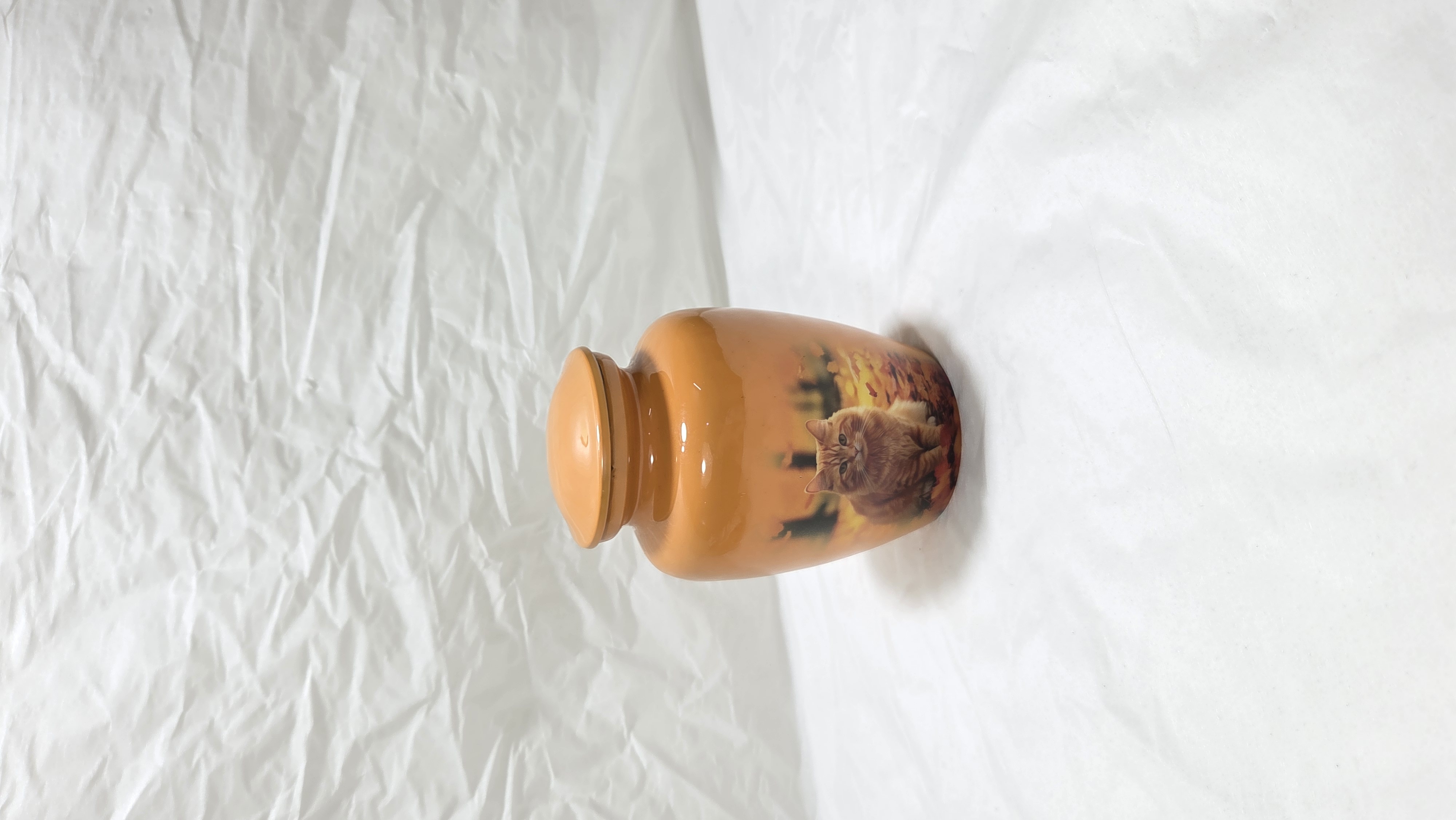 The Ginger Cat Orange Memorial Urn