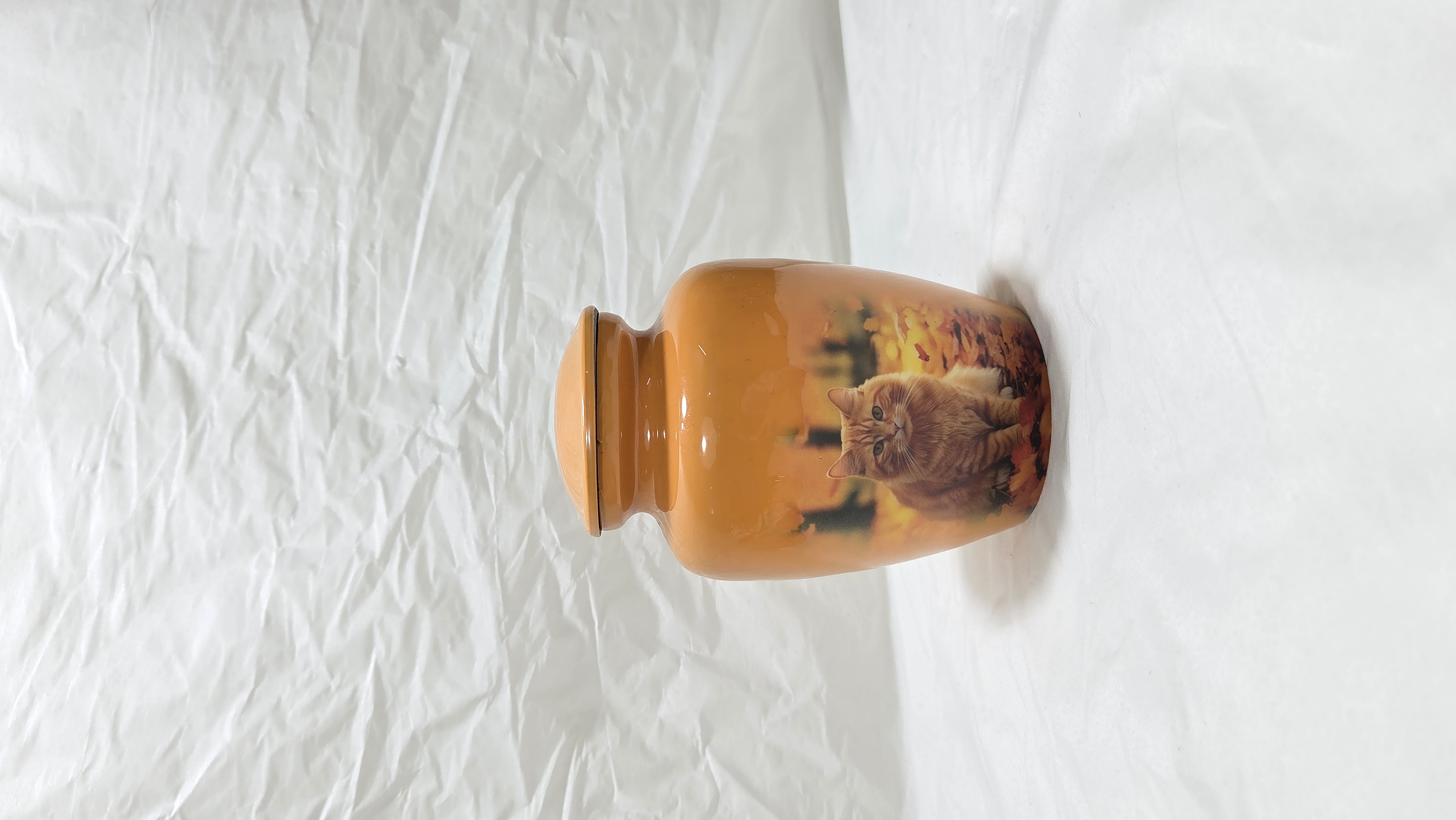 The Ginger Cat Orange Memorial Urn