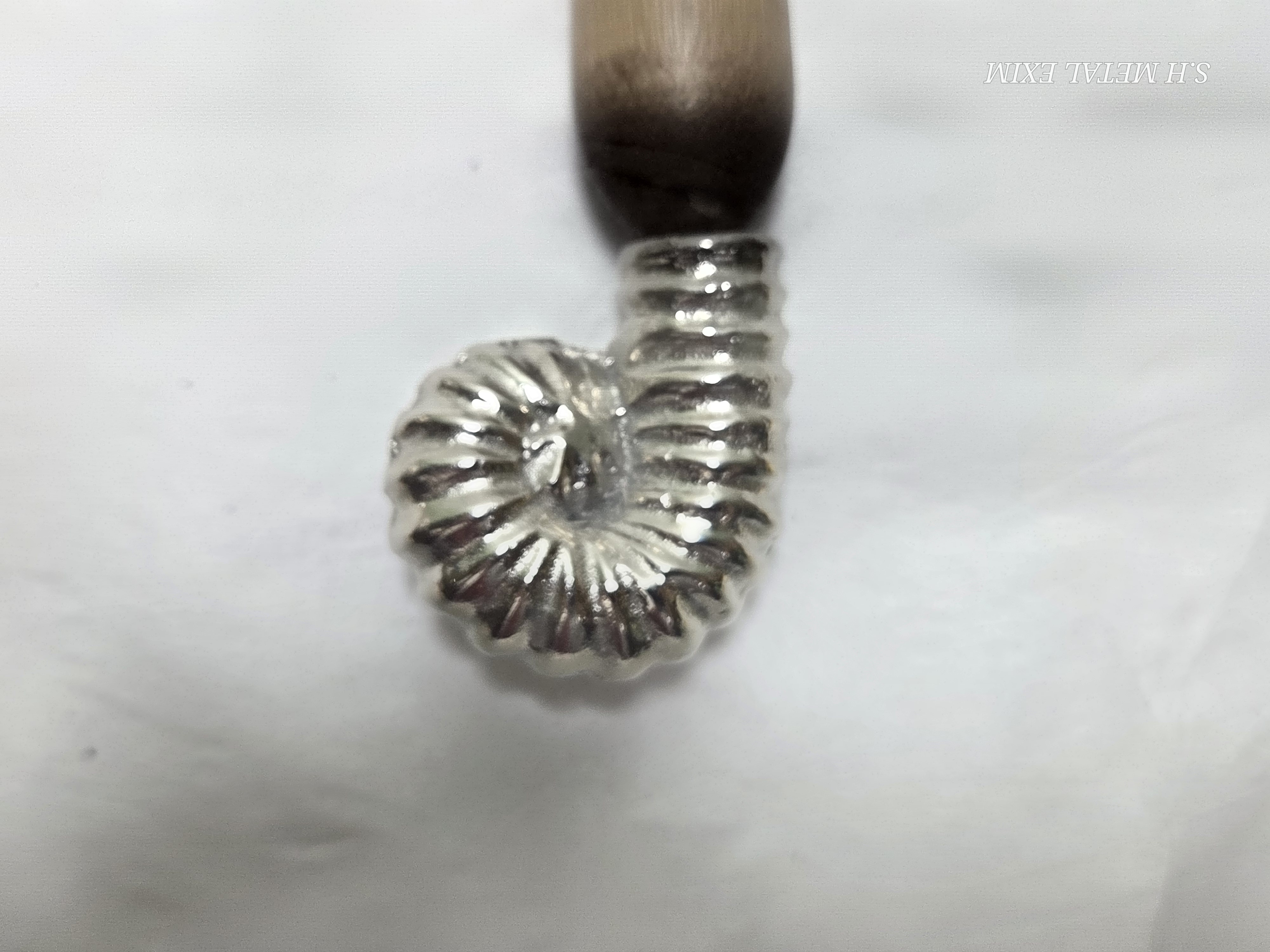 The Nautilus Explorer: Handcrafted Wood and Silver Ammonite Magnifying Glass