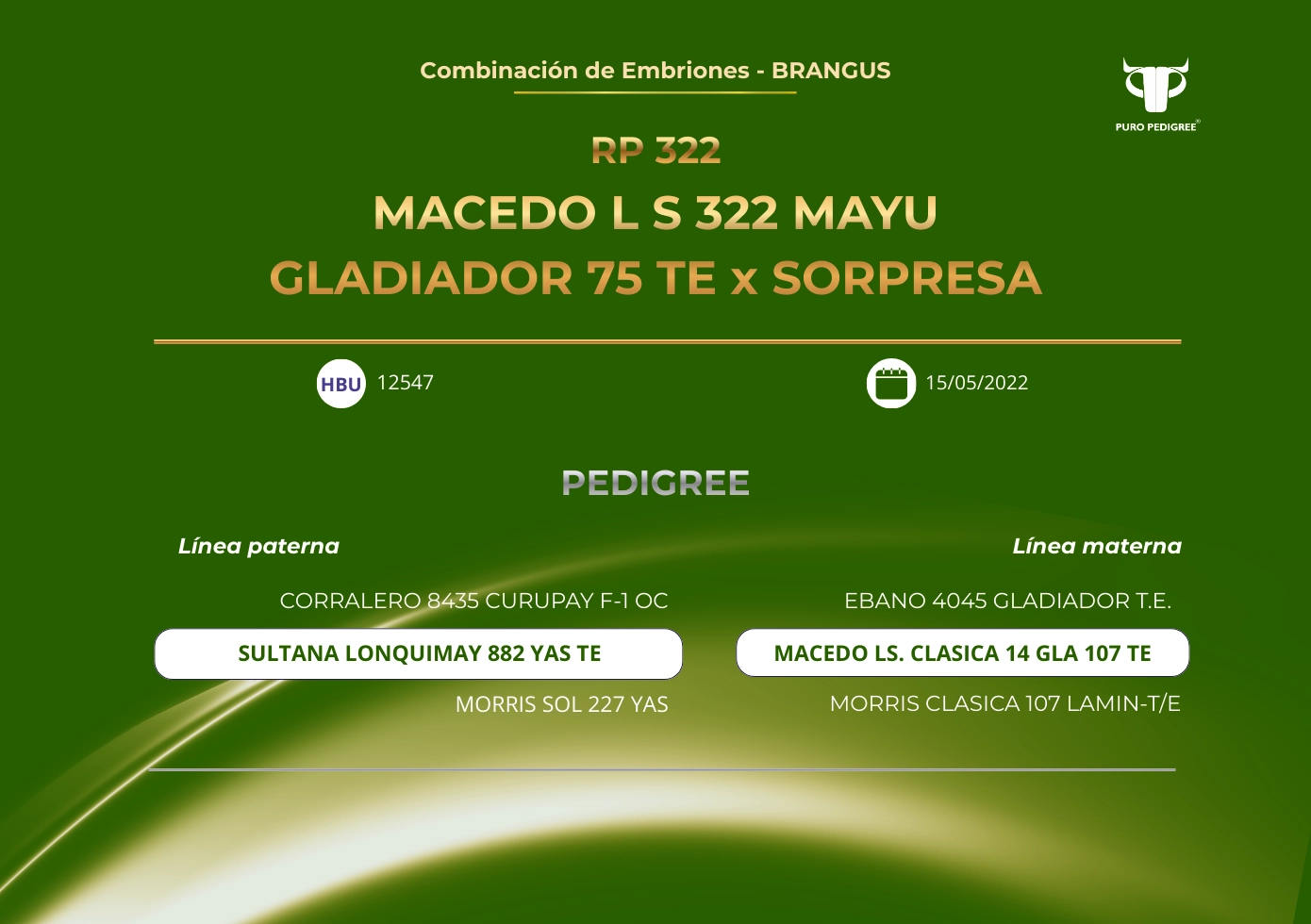 MACEDO L S 322 MAYU GLADIADOR 75 TE x SORPRESA